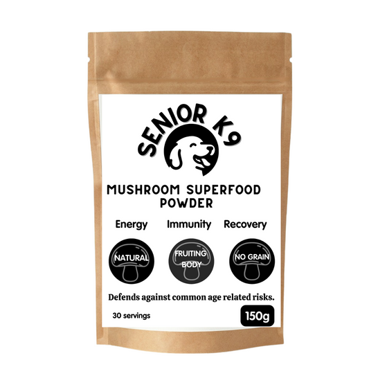 Senior dog mushroom Superfood UK 