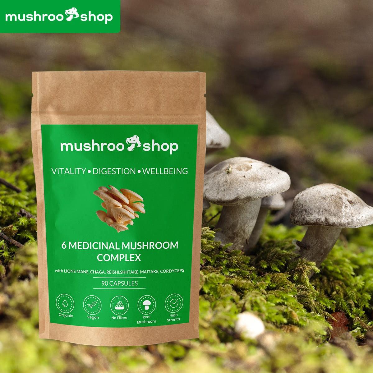 6 Medicinal Mushroom Complex - mushroo.shop