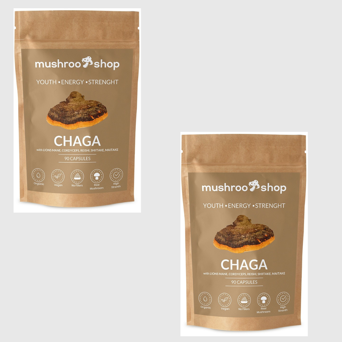 CHAGA Mushroom