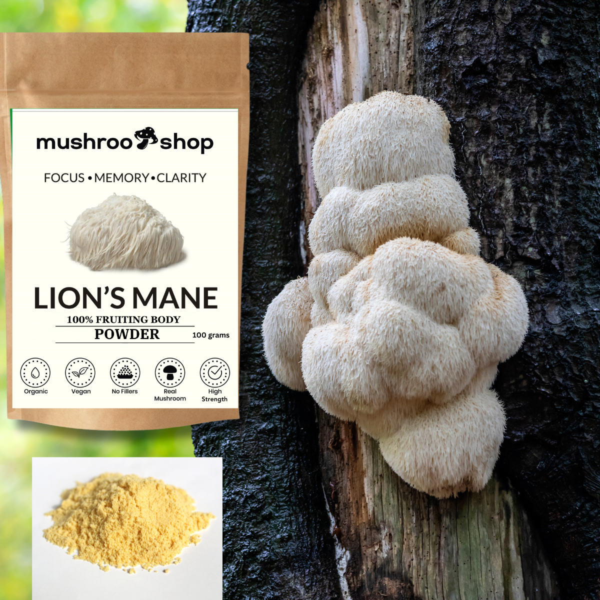 Lion's Mane Powder 100g Organic Certified Lab Tested