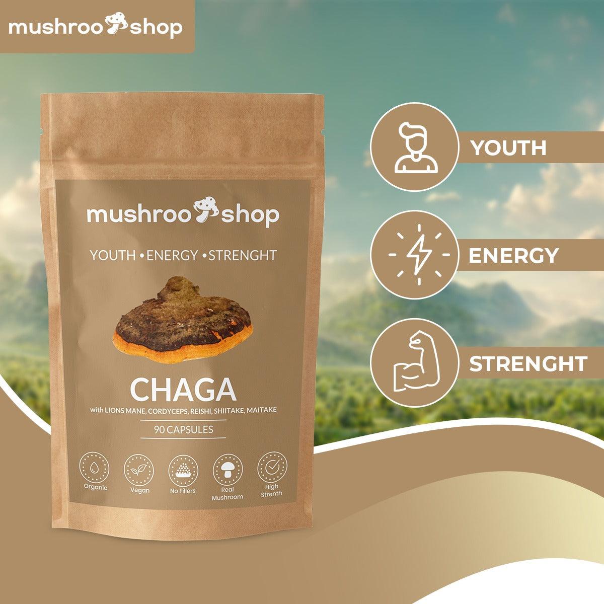 Mushroom shop UK mushroo.shop CHAGA Mushroom - mushroo.shop