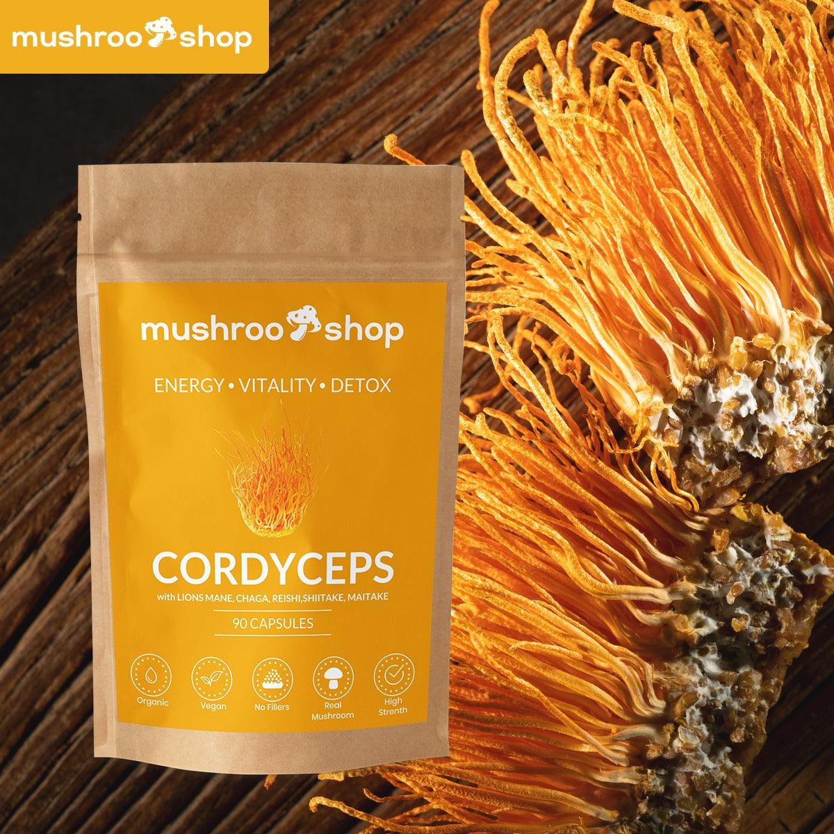 CORDYCEPS - mushroo.shop