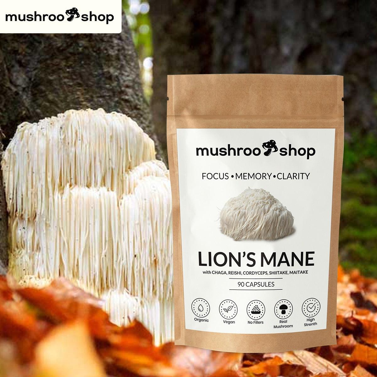 LIONS MANE Capsules UK Organic  mushrooshop 36