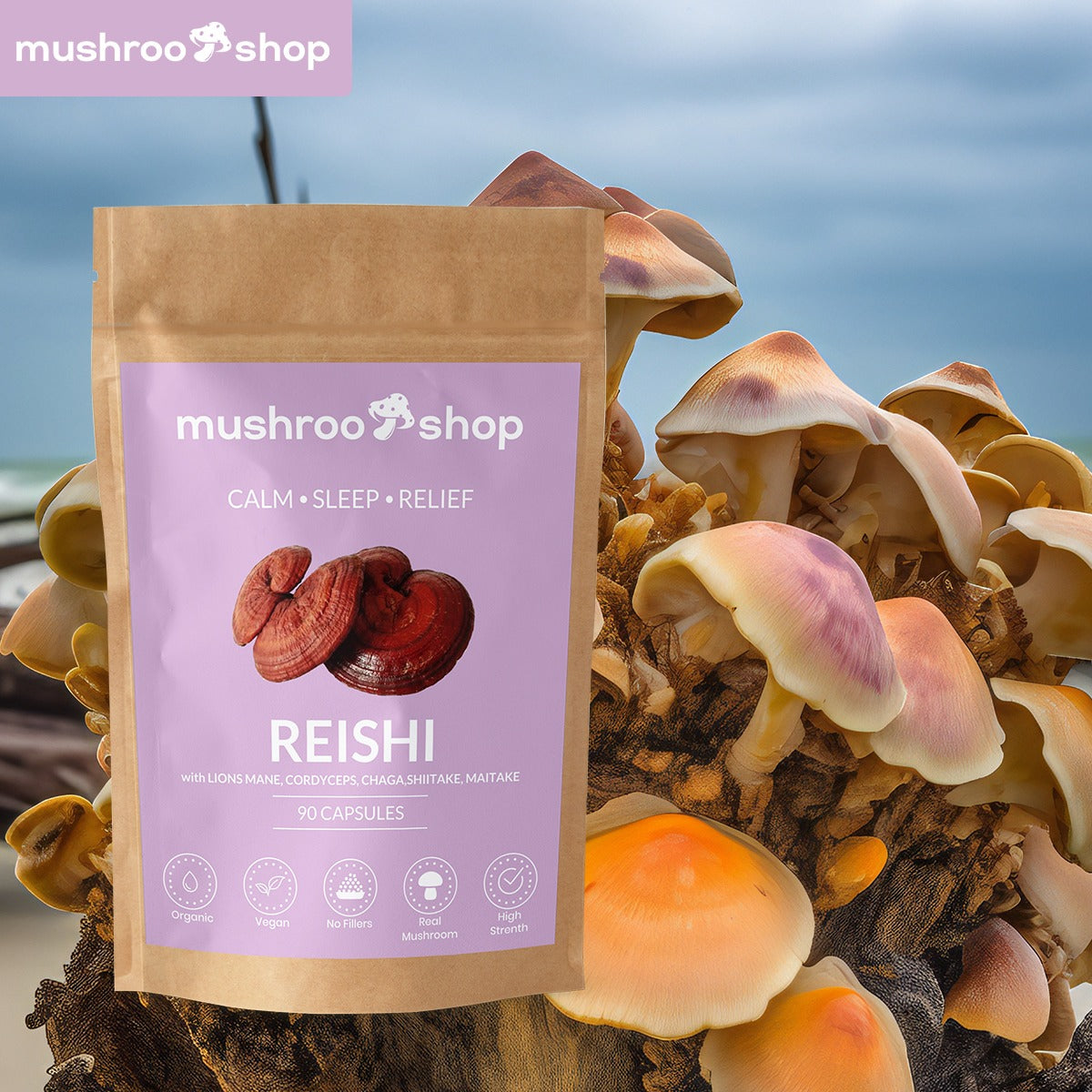 reishi mushroom capsules  uk mushroo.shop 14